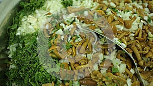 Vegetable salad with mushrooms and fresh greens closeup on dish for vegetarians and healthy eating