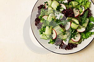 Vegetable salad, radishes and cucumbers, radish micro-greens, lettuce leaves, green onions, homemade, no people,