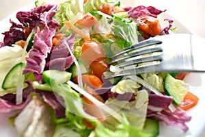 Vegetable salad with red cabbage, cucumber, tomato, onion, carrot and lettuce on a white plate.