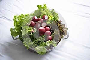 Vegetable salad set for health and life