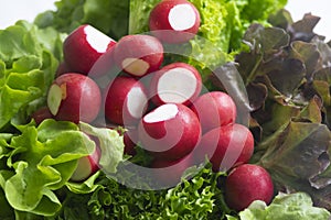 Vegetable salad set for health and life