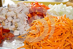 Vegetable salad of tomatoes, carrot onions and chicken