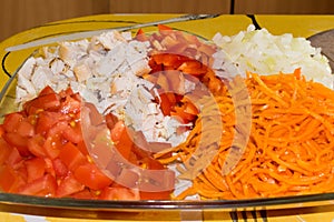 Vegetable salad of tomatoes, carrot onions and chicken