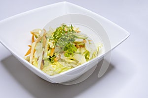 Vegetable salad in a white plate. Cabbage, lettuce, carrot, cucumber. Vegetarian dish of fresh vegetables. Snack