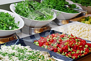 Vegetable salads on open buffet. Close-up of salad line on smorgasbord