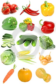 Vegetable sampler