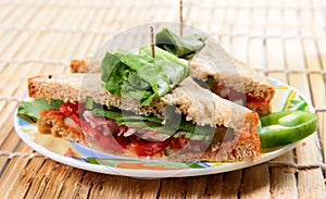 Vegetable sandwitch