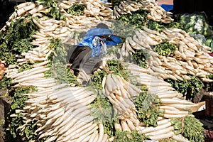 Vegetable seller sleeping on a heap of radish