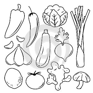Vegetable Set Black Icon Collection Vector