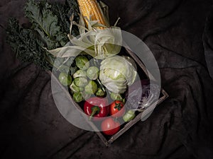 Vegetable set with dark background