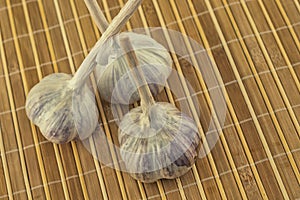 Vegetable set fresh head garlic on a wooden background