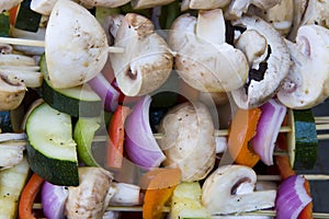 Vegetable shish kabob photo