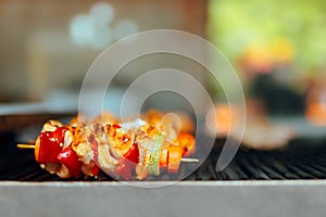 Vegetable Skewers with Chicken Meat Ready for grilling