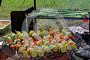 Vegetable Skewers on Outdoor Grill