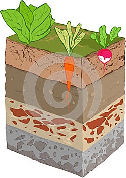 Vegetable soil layer