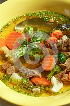 Vegetable soup with meat