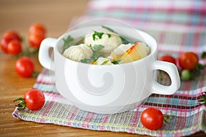 Vegetable soup with meatballs