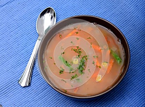 Vegetable Soup