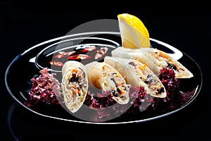 Vegetable Spring Rolls on black background