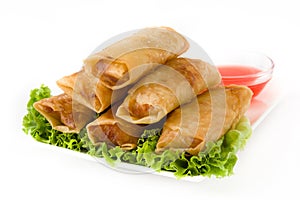 Vegetable spring rolls isolated