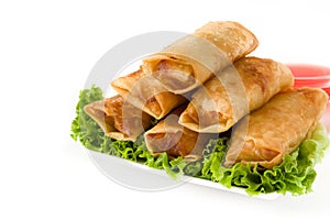 Vegetable spring rolls isolated