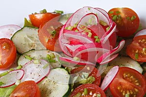 Vegetable summer salad diet, macro. horizontal