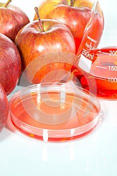 Vegetable test, Genetic Modification,apple