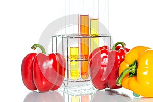 Vegetable test, Genetic Modification, Pepper