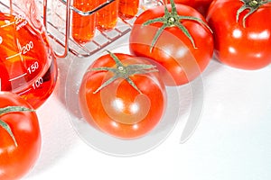 Vegetable test, Genetic Modification, tomato