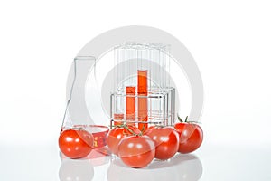 Vegetable test, Genetic Modification, tomato