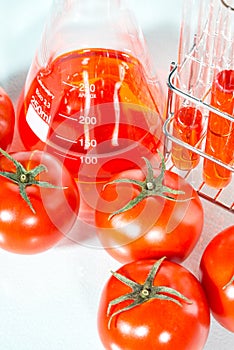 Vegetable test, Genetic Modification, tomato