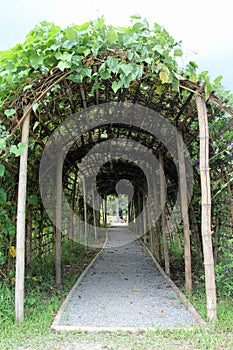 Vegetable tunnel