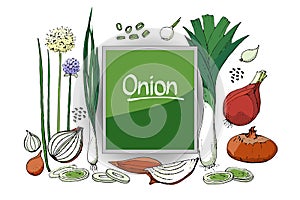 Vegetable vector set of onion.
