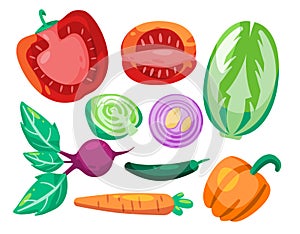 Vegetable veggies collection set illustration sliced tomatoes beets onion carrot cabbage chili and paprica