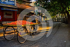 Vegetable vendor bike on streets