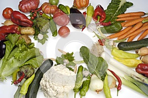 Vegetables,all kinds of vegetables with a white background photo