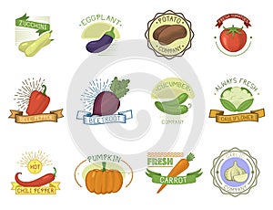 Vegetables badge vector healthy vegetably tomato, carrot, potato vegetarians pumpkin organic food modern web shop