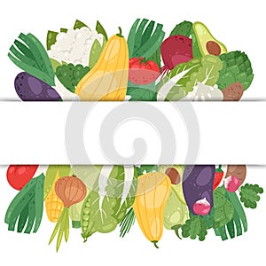 Vegetables banner with white space vector illustration. Healthy vegan lifestyle and organic food. Veggies poster with photo