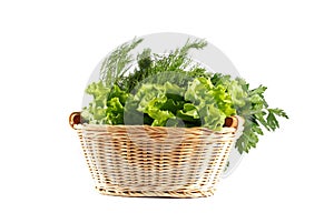 Vegetables in basket