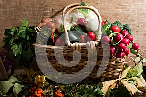 Vegetables in the basket