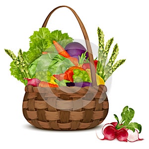 Vegetables in basket