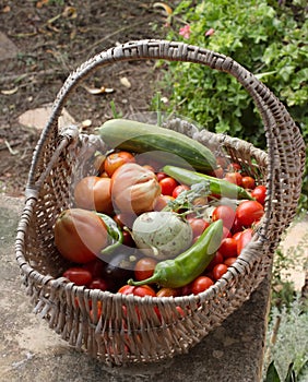 Vegetables basket