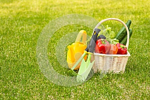 Vegetables in basket and garden tools on green grass