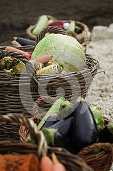 Vegetables in a basket of twigs. product photography in natural light.