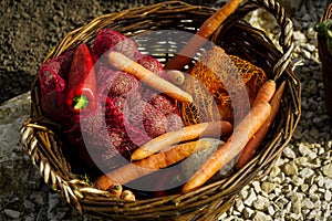 Vegetables in a basket of twigs. product photography in natural light.