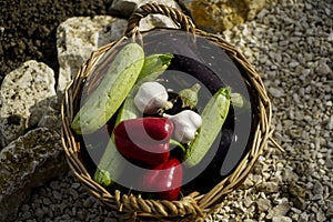 Vegetables in a basket of twigs. product photography in natural light.