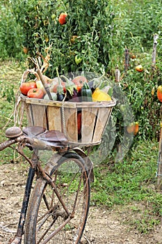 Vegetables bike