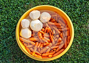 Vegetables in a bowl