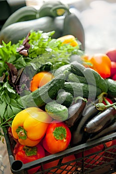 Vegetables in the box are intended for fermentation. Eggplant, peppers, tomatoes and cucumbers are ready for processing. Close up