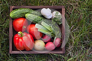 Vegetables in a box for salad on the grass in a summer garden